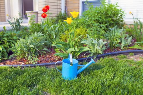Tidy residential garden maintenance in Hendon with trimmed hedges and healthy lawn