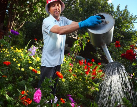 Professional lawn mowing service maintaining a Hendon lawn