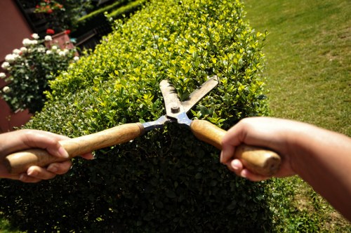 Free quote planning for garden waste removal