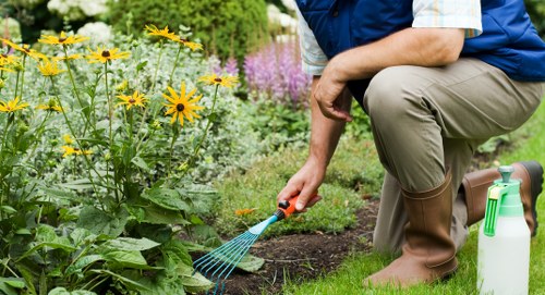 Low-maintenance landscape gardening in Hendon with lawn and borders