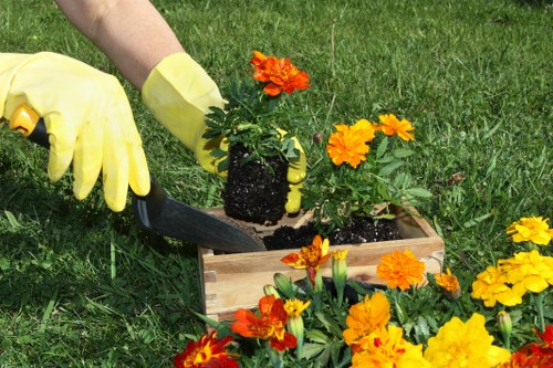 Professional garden clearance work in a Hendon property