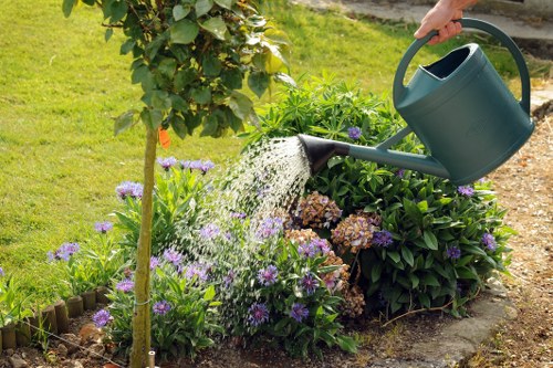 Professional gardeners Hendon shaping a neat and practical garden