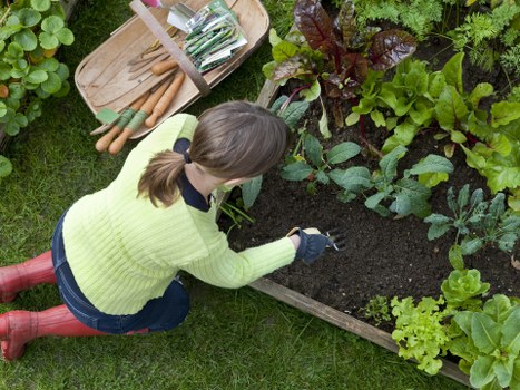 Final stage of a compliant gardening service agreement