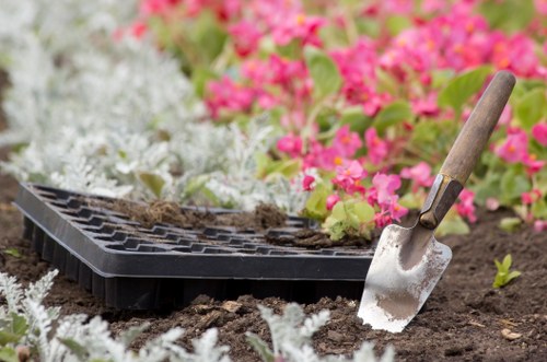 Seasonal lawn maintenance in Hendon for residential gardens