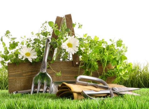 Garden clearance and outdoor upkeep services in Hendon