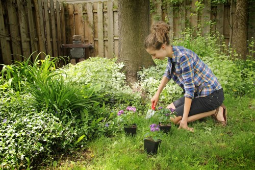Weed control and border maintenance in a Hendon outdoor space