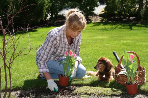 Local gardeners in Hendon trimming hedges and maintaining borders