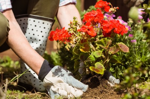 Trained gardener using professional tools during a safe site visit