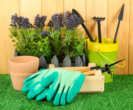 Spring and autumn lawn care work in a Hendon garden