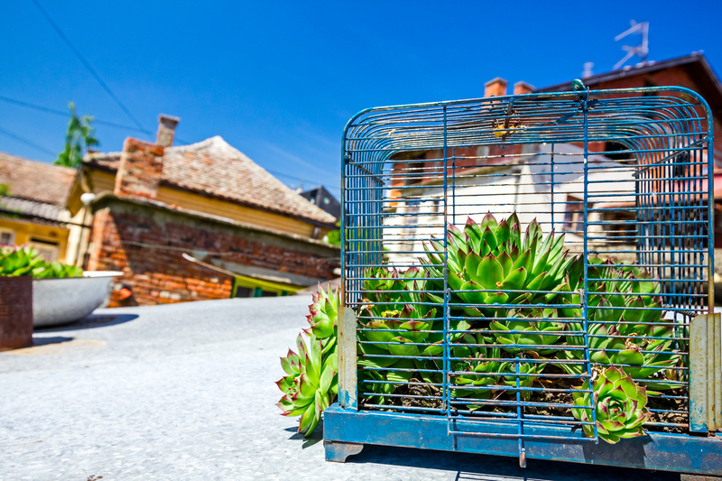home plants