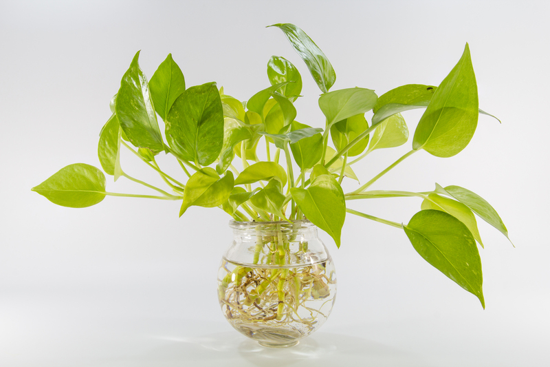 garden maintenance Garden