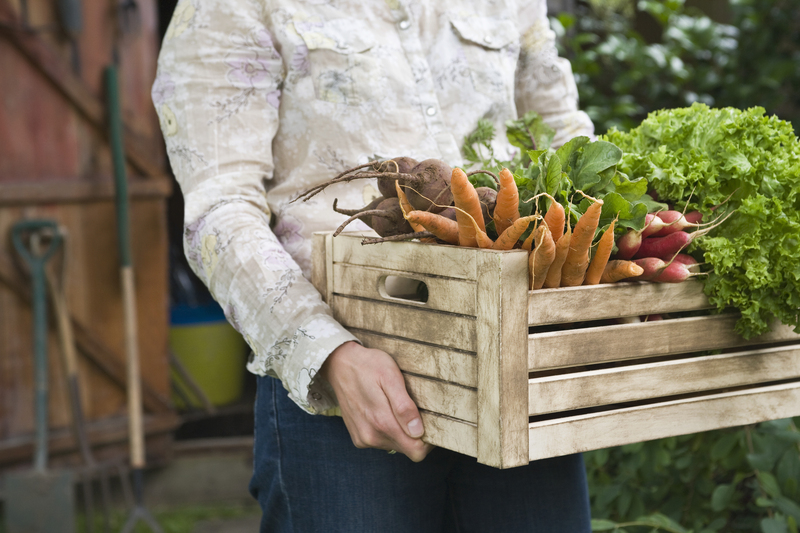 garden planting