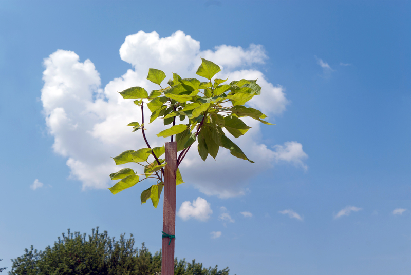 garden design landscape design